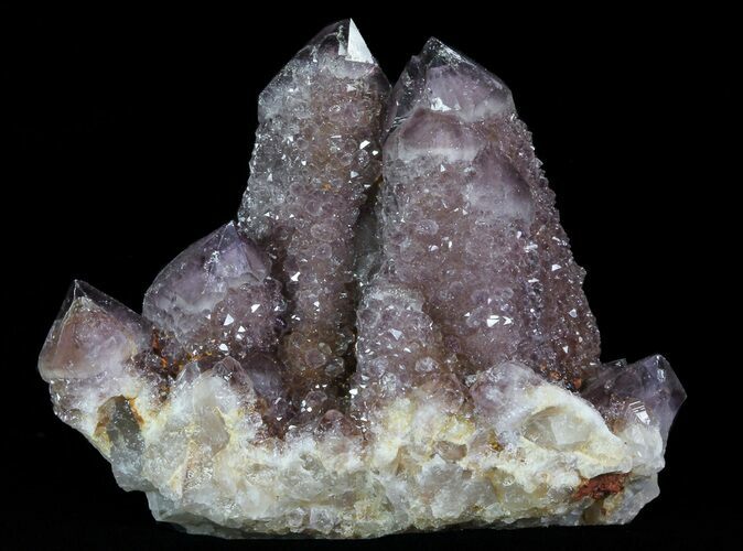 Cactus Quartz (Amethyst) Crystal Cluster - South Africa #64246